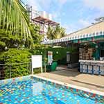 Instagram - Samui Verticolor